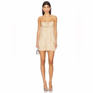 Show Me Your MuMu GNO Mini Dress - size small